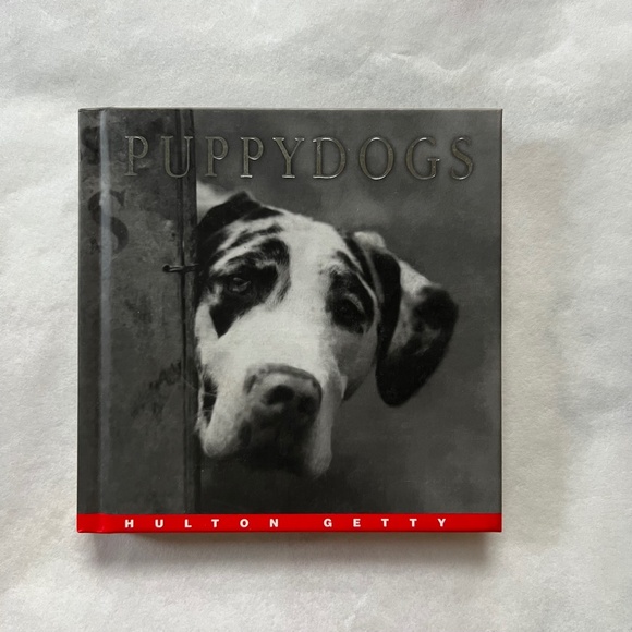 BARGAIN BUNDLE: 5 book bundle about cute dogs, cats, etc. - for animal lover… - Picture 13 of 15